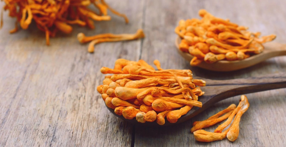 What Are The Best Cordyceps Supplements?