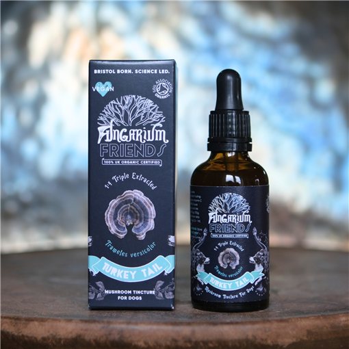 Bristol Fungarium Organic Turkey Tail Tincture for Dogs 50ml