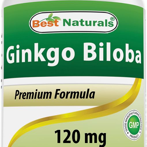 Best Naturals Ginkgo Biloba Extract 120mg 120 Capsules double strength